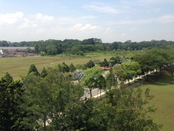Blk 303 Canberra Road (Sembawang), HDB Executive #168986942